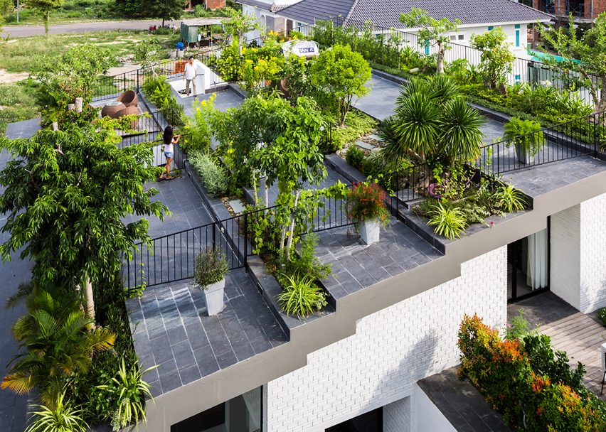 Rooftop Garden